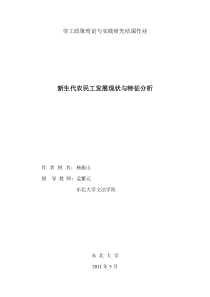 新生代农民工发展现状与特征分析