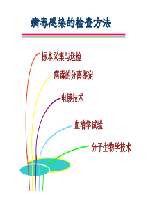 病毒感染的检查方法