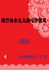 《践行社会主义核心价值观》主题班会