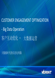 2014年数据库技术大会_Customer Engagement Optimization_2014