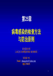 25.病毒感染的检查方法与防治原则