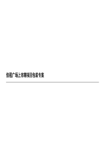 佳程广场上市期项目包装专案