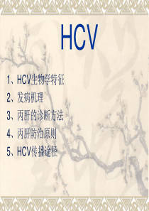 HCV分子生物学