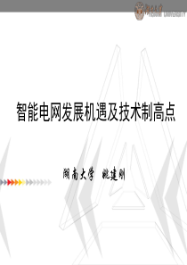 智能电网发展机遇及技术制高点(湖大姚建刚)