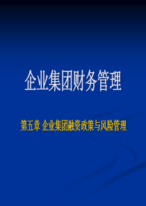 第五章-企业集团融资政策与风险管理