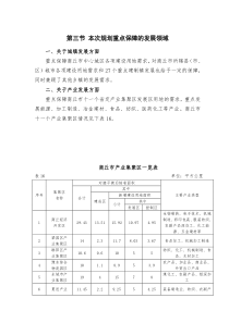 本次规划重点保障的发展领域