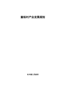 村产业发展规划