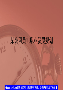 某公司员工职业发展规划