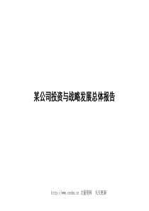 某公司投资与战略发展总体报告