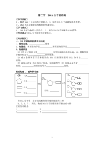 DNA分子的结构导学案