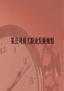 某公司员工职业发展规划（PPT 34页）