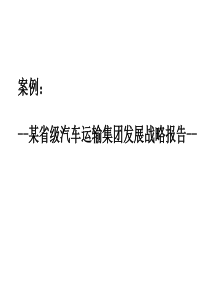 某省级汽车运输集团发展战略报告