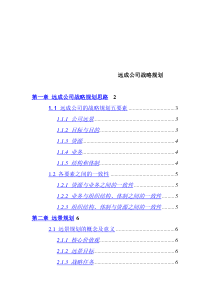 某著名咨询公司-远成-集团公司发展战略规划方案