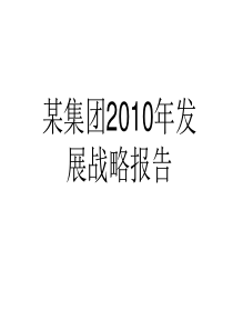 某集团XXXX年发展战略报告