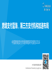 中国跨境支付市场专题研究报告2016