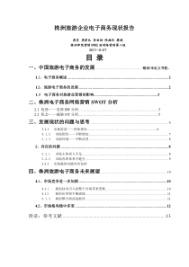 株洲旅游企业电子商务发展报告