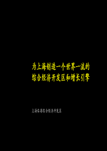 案例上海临港综合经济开发区发展战略报告