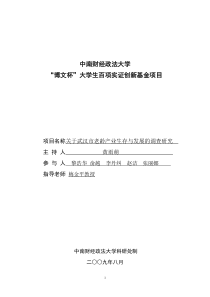 武汉市老龄产业生存与发展的实证调研黄雨萌doc-中南财经