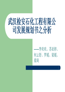 武汉检安石化工程有限公司发展规划之分析