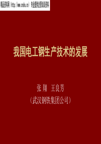 武汉钢铁集团公司-我国电工钢生产技术的发展(PPT35页)