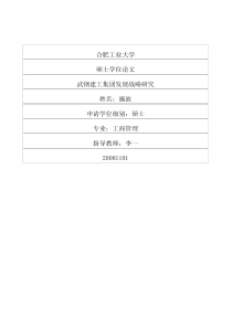 武钢建工集团发展战略研究