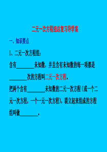 二元一次方程组总复习导学案