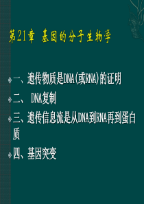 第二十一章--基因的分子生物学