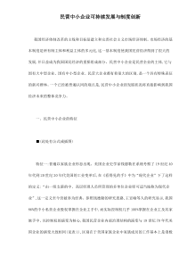 民营中小企业可持续发展与制度创新doc14(1)