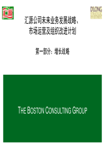 汇源公司未来业务发展战略市场运营及组织改进计划