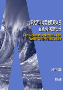 沈阳大浑南发展规划175p