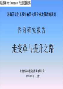 河南开普化工公司企业发展战略规划(ppt175)