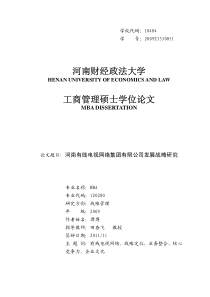 河南有线电视网络集团有限公司发展战略研究