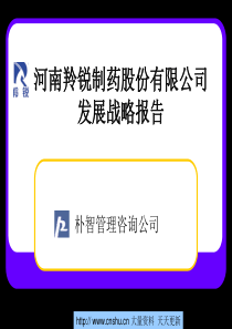 河南羚锐制药股份有限公司发展战略报告