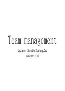 Teammanagement泽许