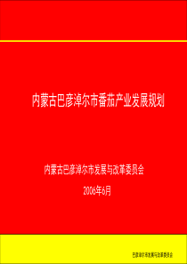 河套番茄产业发展规划(23日)