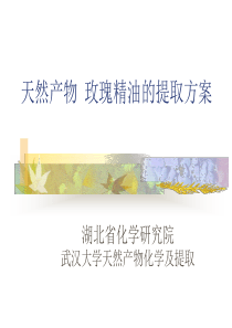 天然产物的提取玫瑰精油剖析