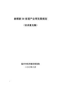 泰顺新58省道产业带发展规划