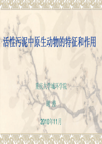 活性污泥中原生动物的特征和作用PDF