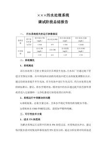 污水系统调试阶段运行报告