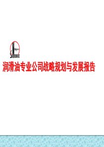 润滑油专业公司战略规划与发展报告（PPT 235页）