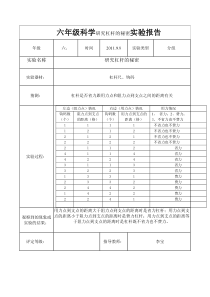 六年级科学研究杠杆的秘密实验报告