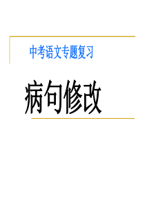 中考语文专题复习《病句修改》PPT课件