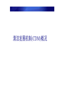 清洁发展机制(CDM)概况