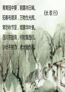 大班语言——长歌行