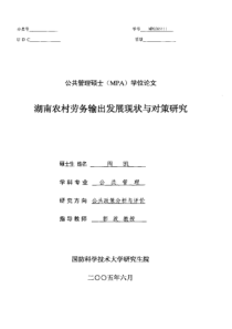 湖南农村劳务输出发展现状与对策研究