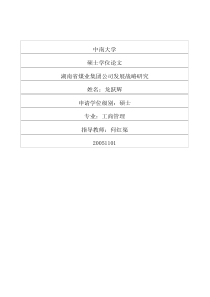 湖南省煤业集团公司发展战略研究