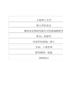 潍坊亚星集团有限公司发展战略研究(1)