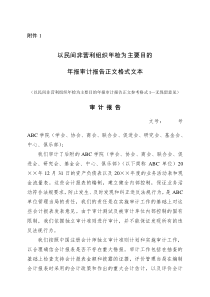 民间非营利组织年检审计报告参考格式