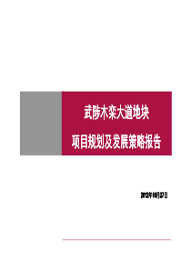 焦作市武陟木栾大道地块项目规划及发展策略