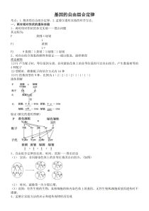 基因的自由组合定律